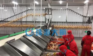 復(fù)工后禽肉屠宰加工產(chǎn)量提不上去？快用珠海大航重量分選機(jī)