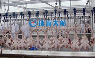 重量分揀設(shè)備如何實(shí)現(xiàn)整雞分選？