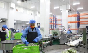 蔬菜配重機(jī)：解決人工成本與效率問(wèn)題，助力蔬菜加工發(fā)展