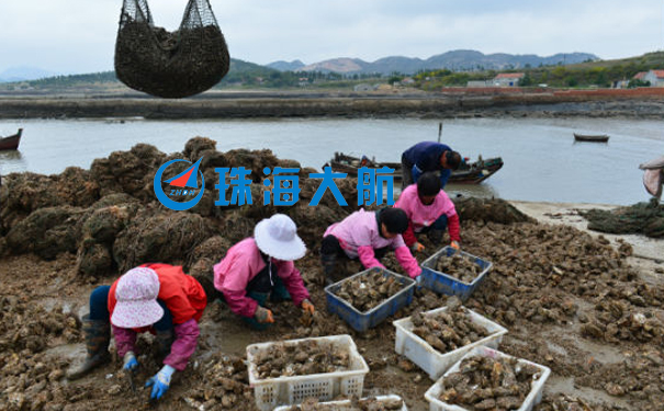 生蠔.jpg